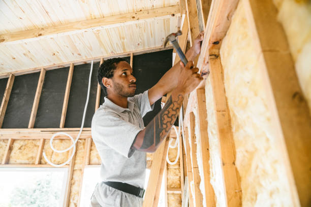 Best Professional Insulation Contractor  in Woodbridge, VA